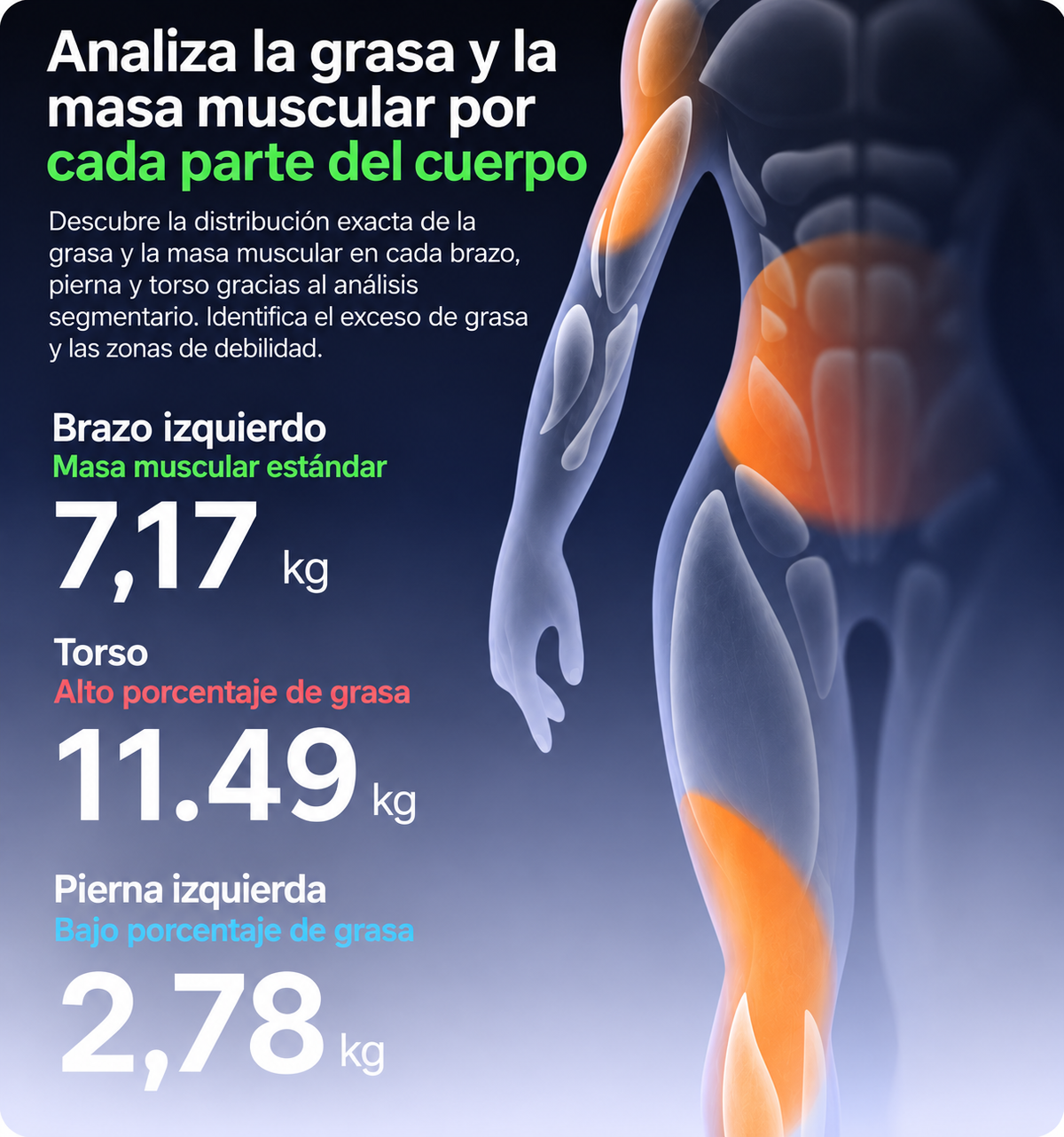 Báscula Inteligente Con 8 Electrodos