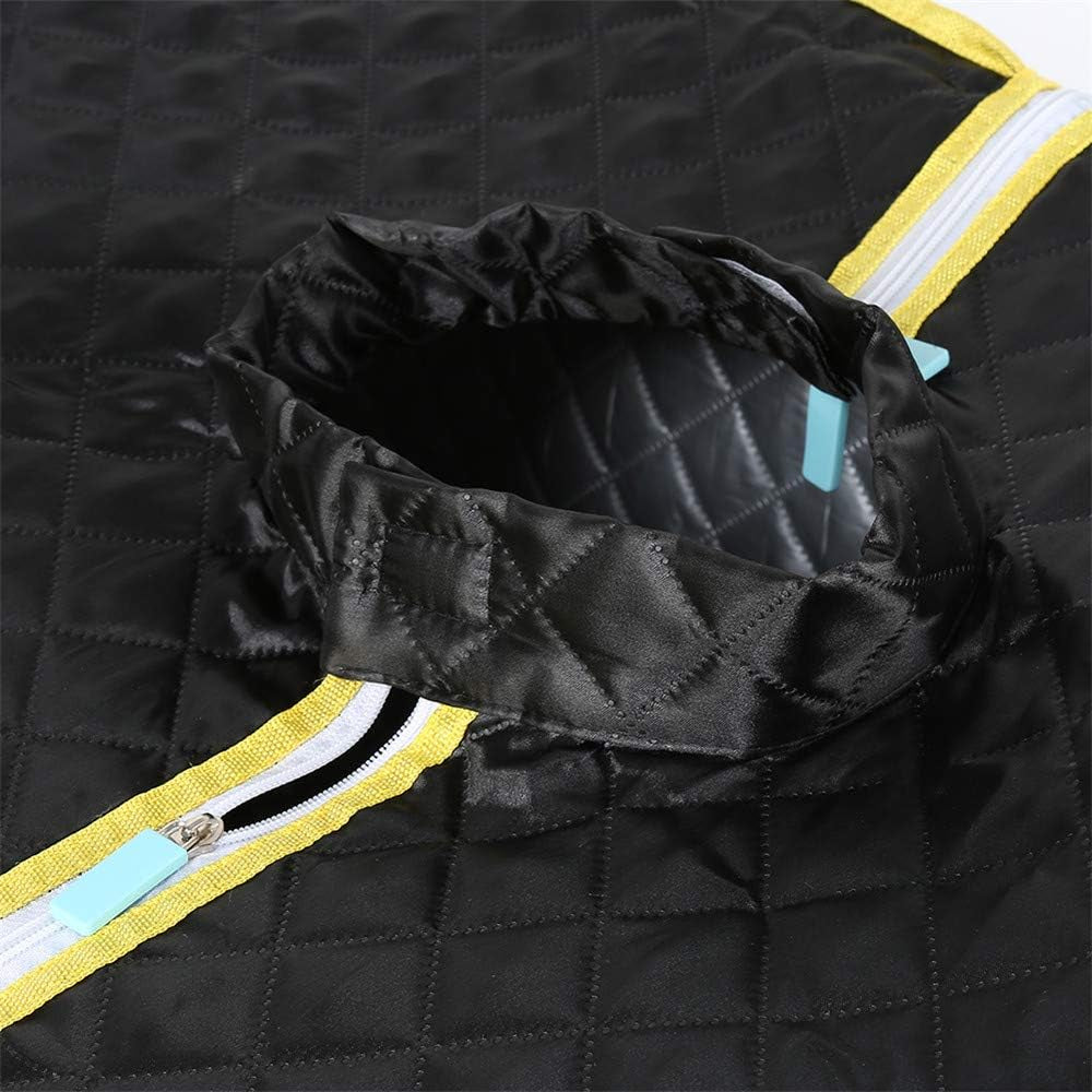 Turefans Sauna Hogar Portátil, 1000W (Negro)