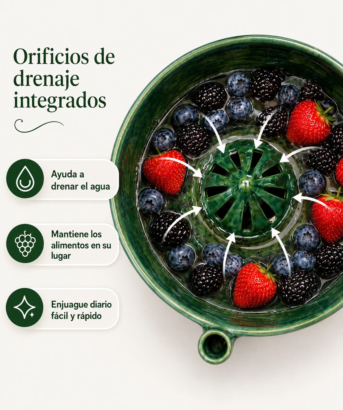 Lavadora de Fruta