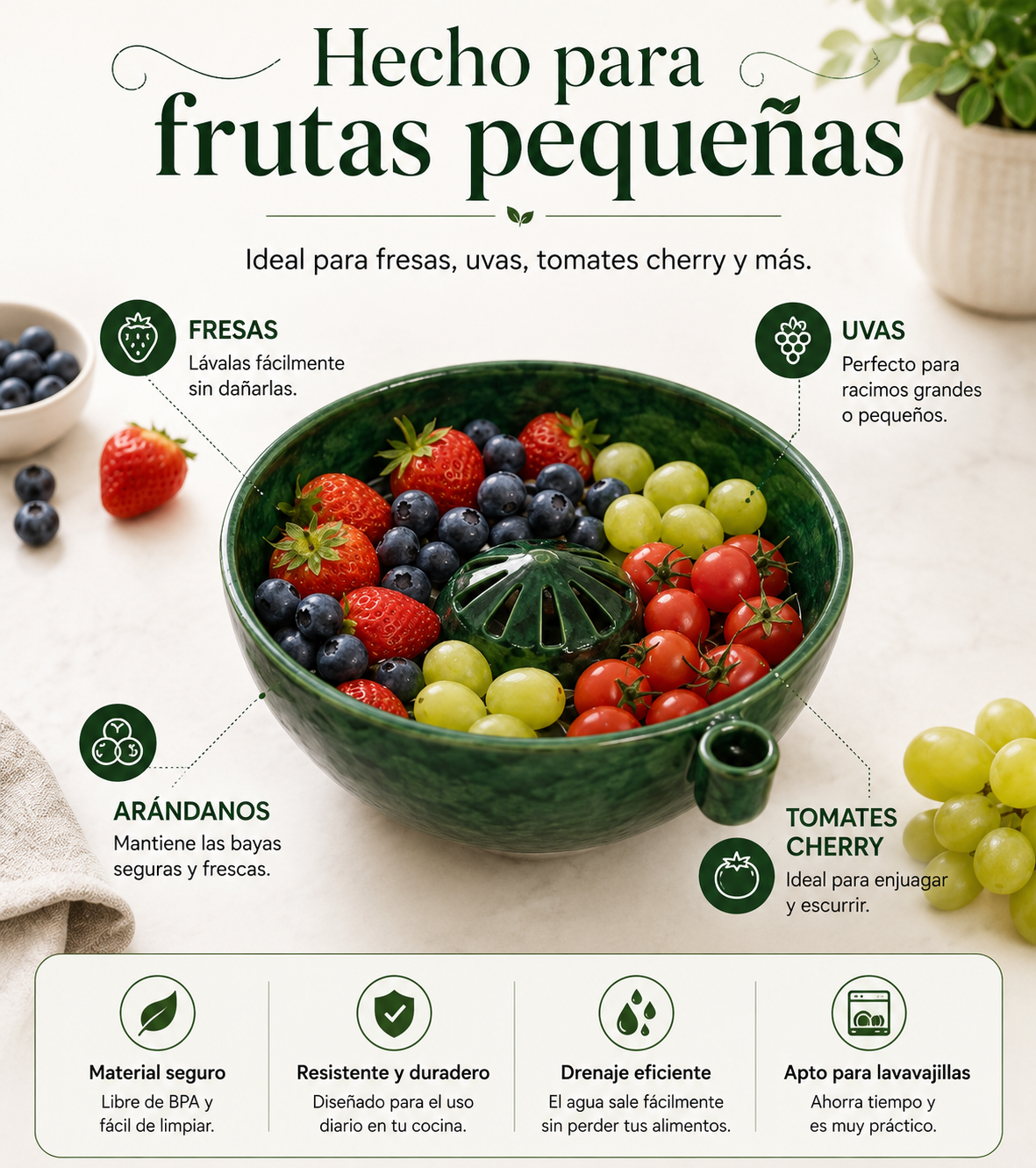 Lavadora de Fruta