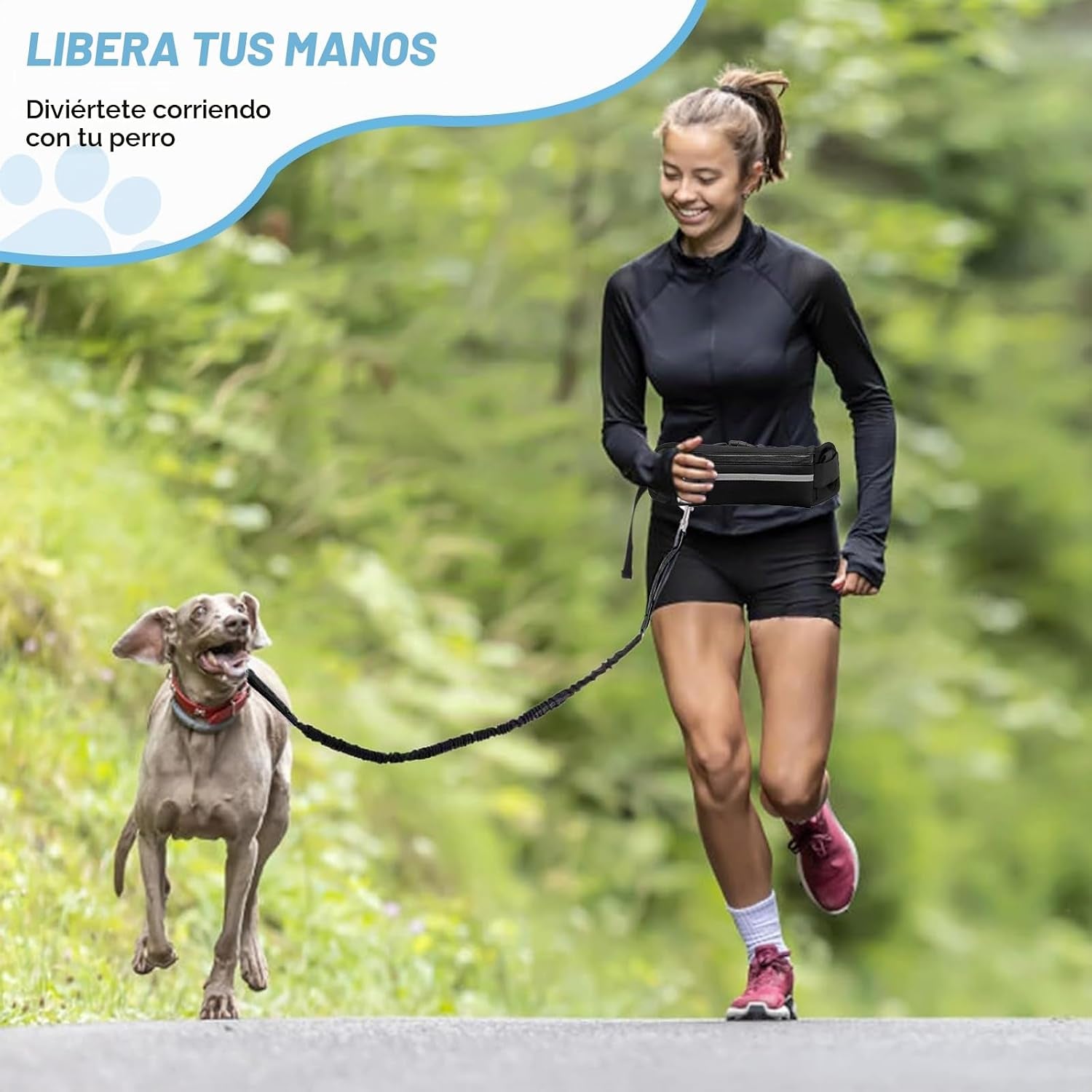 Correa Perro Cintura, 1.25 M-2.2 M Belt Perro Manos Libres Elástica Con Bolsillo, Correa Running Perro Belt, Con Costuras Reflectantes, Para Entrenar, Caminar, Trotar Y Correr Con Tu Mascota
